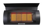 Dimplex Patio Heater Wall Mounted outdoor Natural Gas Infrared Protective Grill