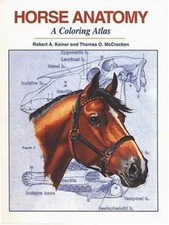 Horse Anatomy: A Coloring Atlas by Kainer, Robert A.; McCracken, Thomas O.