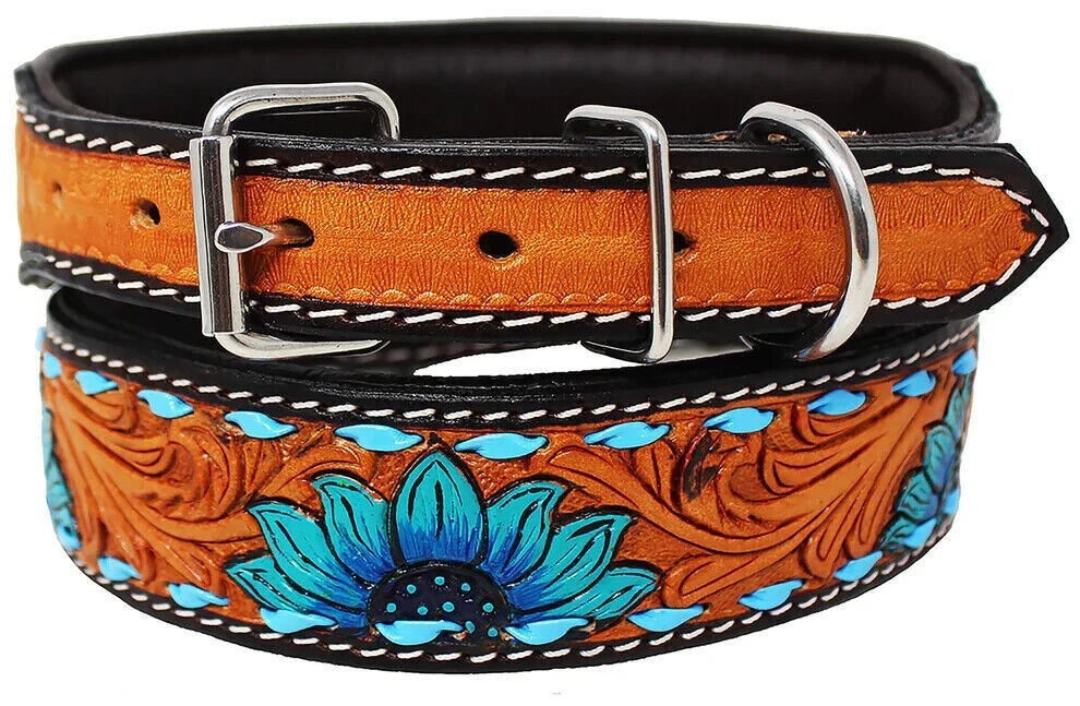 Padded Leather Dog Collar With Turquoise Sun Flower Tooled Design Pet Collar.