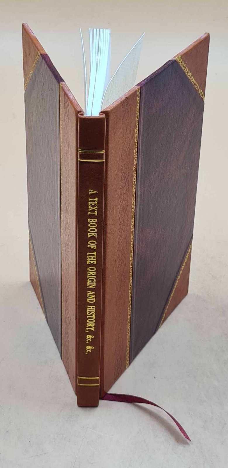 Origins and History of the Colored People Leather Bound Book