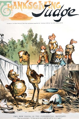Presidential Election 1891 NEW CANDIDATES IN THE BARNYARD Matted Judge Print