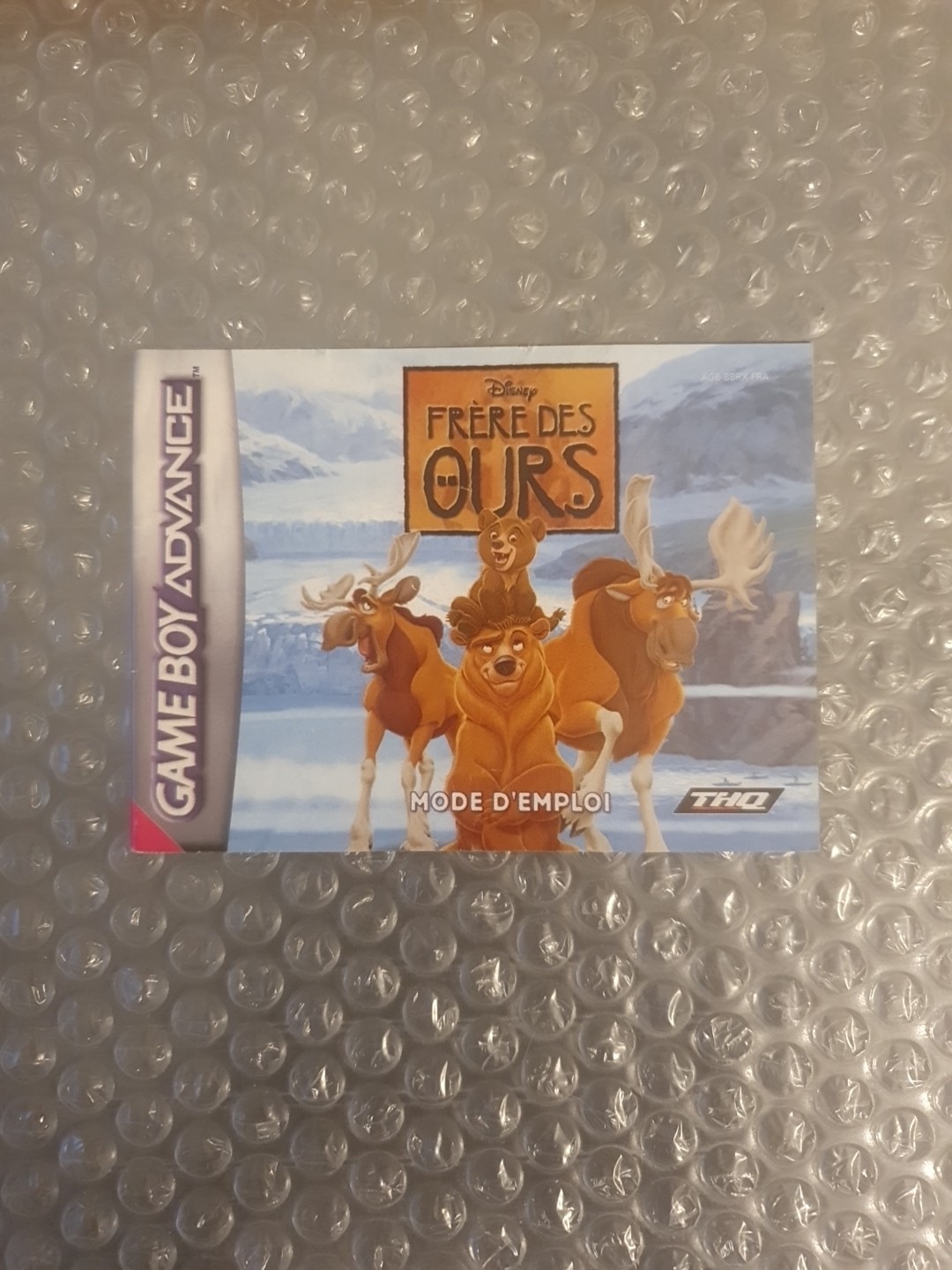 Notice Game Boy Advance GBA - FRERE DES OURS - PAL/FRA  TBE +++