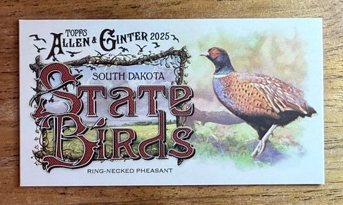 2025 Topps Allen & Ginter State Birds SB-41 Ring-Necked Pheasant (South Dakota) - Picture 1 of 2