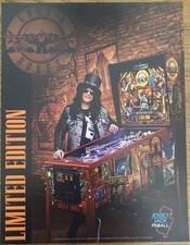 GUNS N ROSES LE by Jersey Jack Pinball flyer