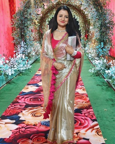 Bollywood indien pakistanais sari fête tenue créateur sari ethnique traditionnel
