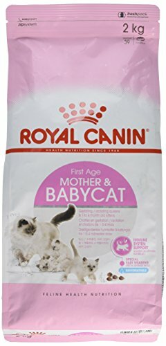royal canin baby cat 2kg