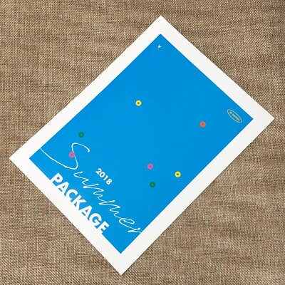 BTS V TAEHYUNG [Summer Package 2018 in Saipan] Official Mini