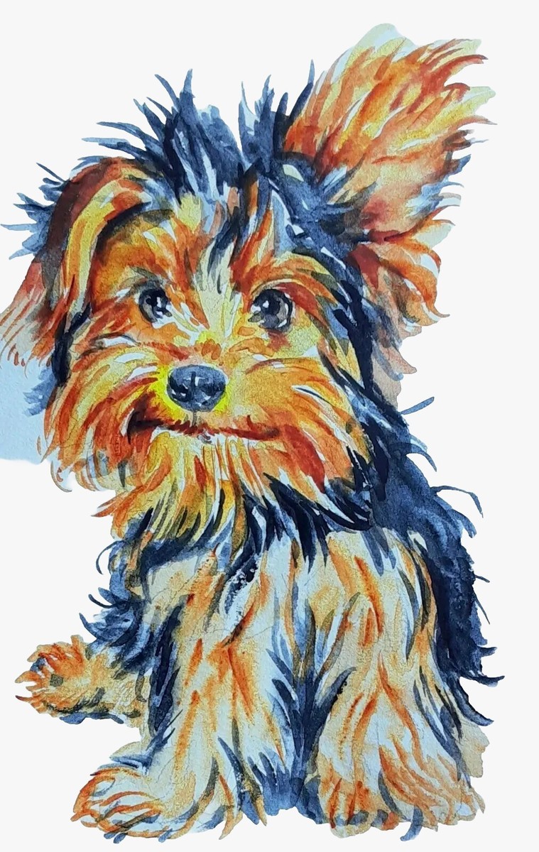 ロブ・キドニー 絵画 版画 smarter pup 7907 16/100 犬 ロブ・キドニー 絵画 版画 smarter pup 7907 16/100 犬