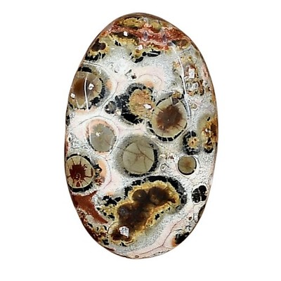 Natural Leopard Skin Jasper 25.4x16x5 mm Oval Shape Polished Gemstone LS02017-30