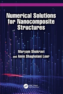 Numerical Solutions for Nanocomposite Structures Paperback by Maryam Shokravi