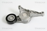 Triscan Riemenspanner, Keilrippenriemen U.A. FüR Audi, Ford, Seat, Skoda, VW