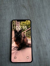 Apple iPhone XS Max A2101 64 GB Space Grau ohne SIM-Lock face ID defekt