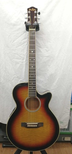 PRO MARTIN EW-500W Electric Acoustic Acoustic