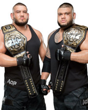 THE AUTHORS OF PAIN 8X10 PHOTO WRESTLING PICTURE NXT
