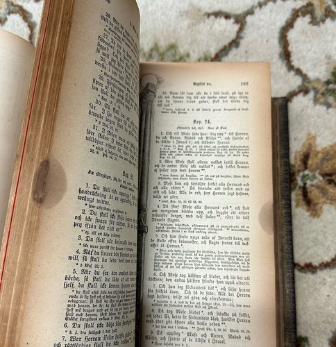 1889 LARGE FAMILY BIBLE SWEDISH - Picture 15 of 24