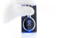 Dalmatian, Dog Crystal Round Keyring, High Quality, Crystal Animals CA