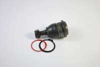 Yamato Traggelenk Vorne FüR Nissan Almera Tino Primera Kombi Infiniti I30 J30