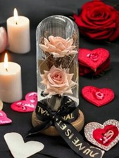 Preserved Rose Gifts for Women Forever Real Rose in Glass Dome Romantic Rose ...