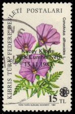 NORTHERN CYPRUS 139 - Morning Glory Flowers "Provisional" (pa34751)