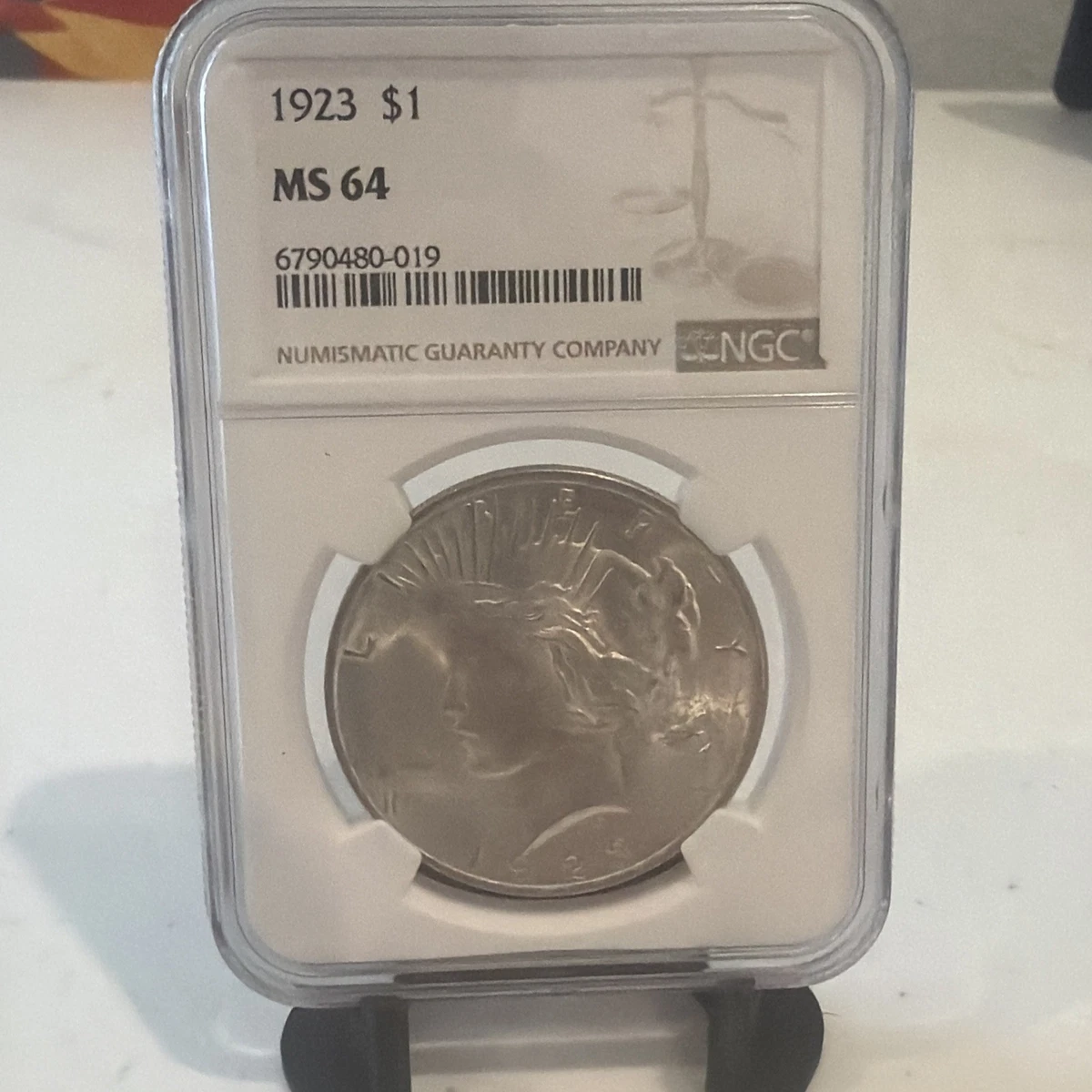 1923年PEACEDOLLAR アメリカNGCMS64 3202436-048 1923 Peace Silver