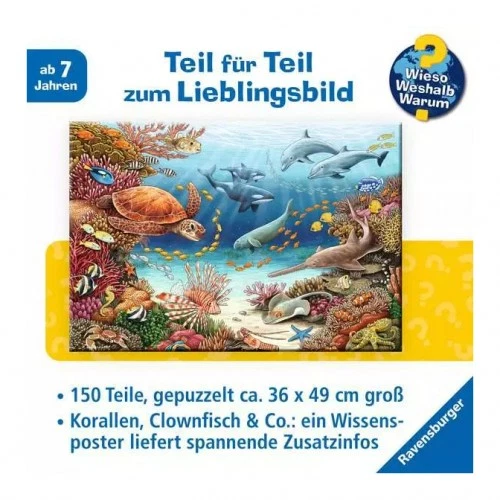 Puzzle - ¿por Qué? Weshalb? Animales Acuáticos Am Arrecife de Coral (150Teile - Imagen 4 de 4