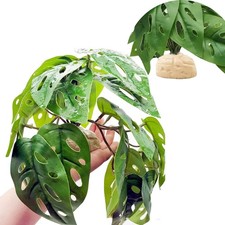 Reptile Plants for Terrarium Decor,Amphibian Habitat Decor, Bearded Dragon Ta...