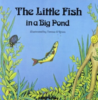 Little Fish in a Big Pond (Child's Play library) Buch -