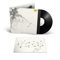 Roger Eno - Without Wind/Without Air - Vinyl Record 1LP - F99Z