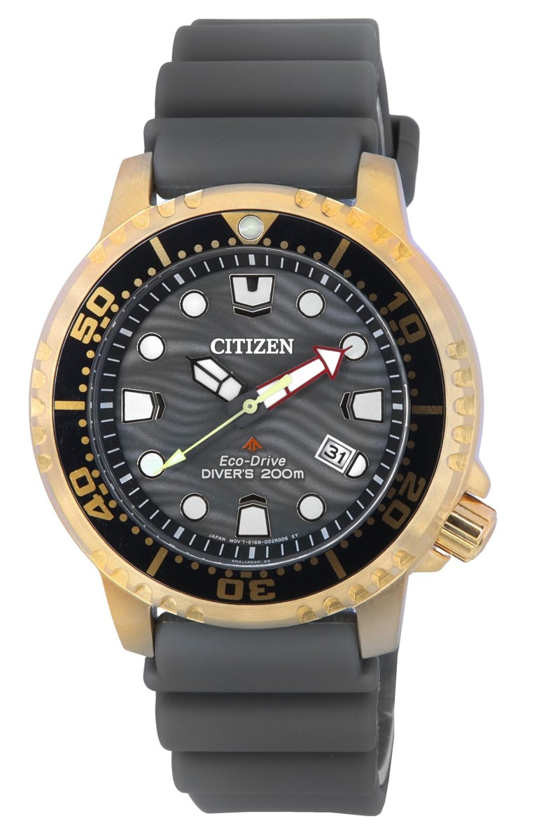 Citizen Promaster Grey Dial Analog Eco-Drive Diver BN0163-00H 200M - Main Image