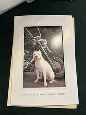 American Staffordshie / Pit Bull Pack 8 Greeting Cards By Otter House UK
