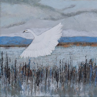 New Leaves The - A Sketch Of Home [CD]
