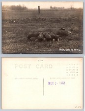 Postal de animales de granja 1912 RPPC madre cerdo y lechones "comidas calientes todas las horas"