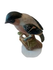 Bullfinch China Model Bird