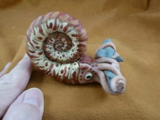 y-NAUT-3) Nautilus catching a shark hand painted clay carving by JP Fischner