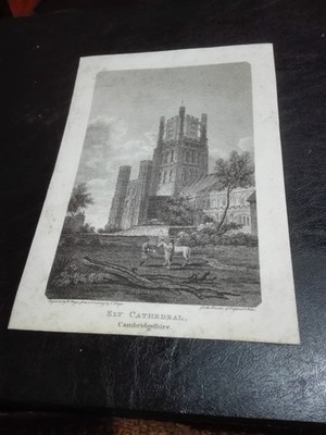SELTEN - FRÜHES 19. JAHRHUNDERT STICH '' ELY CATHEDRAL , CAMBRIDGESHIRE '' UM 1801