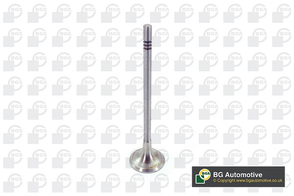 BGA V200611 Exhaust Valve for AUDI,MAN,SKODA,VW