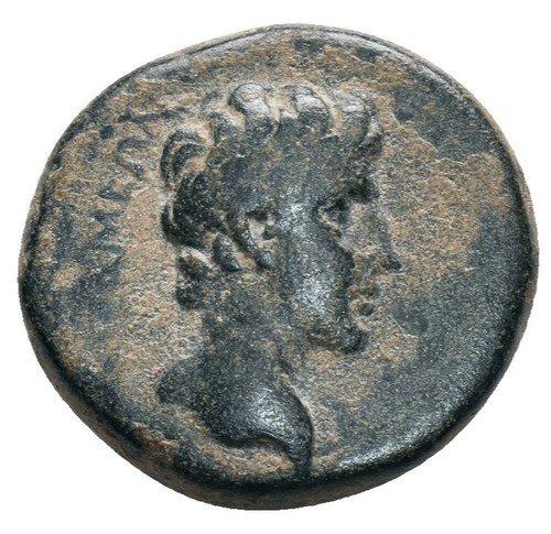 Roman Provincial Bronze Coin - Apameia PHRYGIA 27 BC-14 AD - Augustus - Afbeelding 2 van 4