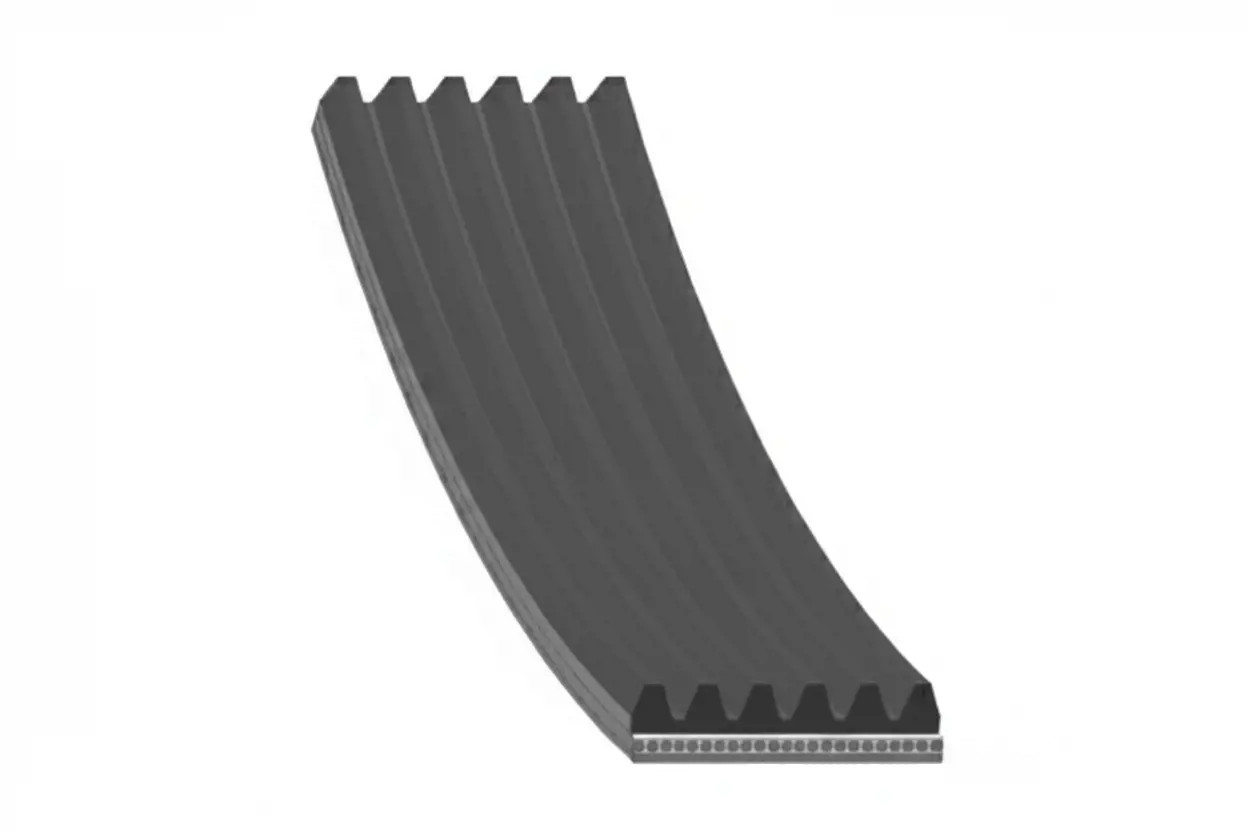 SWAG 30 92 8972 Cinghia Poly-V - Immagine 2