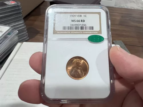 1909 VDB 1C NGC MS66RD CAC HIGH QUALITY COIN