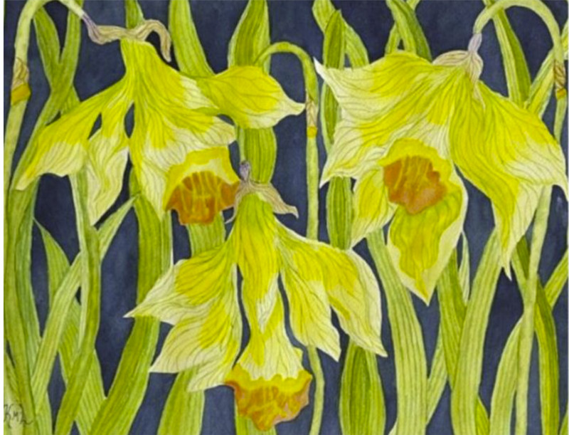 PAINTING WATERCOLOR 11X14 AND DOUBLE MAT 16X20 FLOWER DAFFODIL YELLOW GREEN BLUE