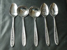Ekco Eterna COUNTRY GARDEN Stainless Serving Spoon + Slotted + Ladles FREE SHIP