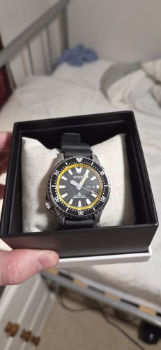 Citizen Fugu