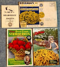 1937 KELLOGGS SEED & FRUIT CATALOG W/COLOR PAGES THREE RIVERS MI