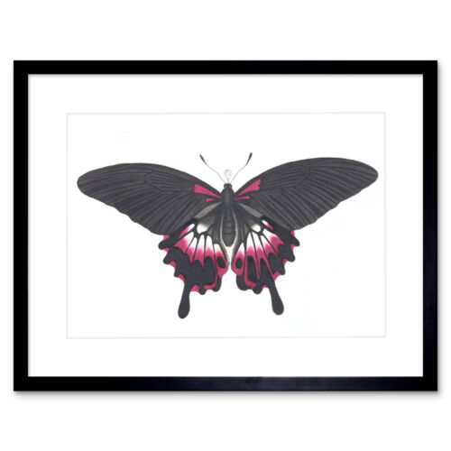 Butterfly Black and Pink Art Print Framed Poster Wall Decor - Bild 1 von 21