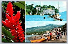 Martinique French West Indies Colorful Ginger Flower Vtg Postcard Fort St. Louis