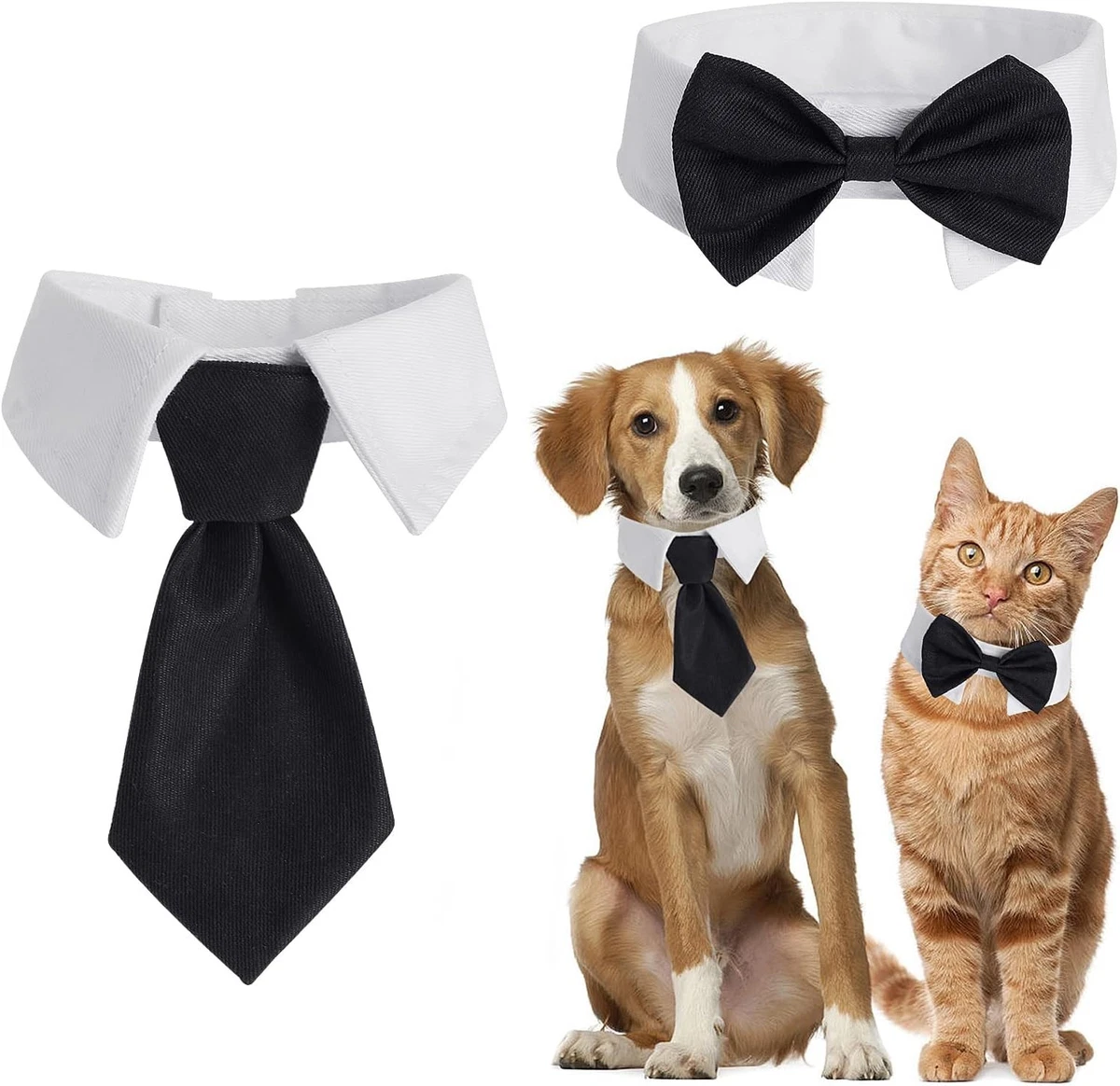 hunde halsband mit namen Hundehalsband mit Name und Telefonnummer Ruby Red  Charlie & Jones