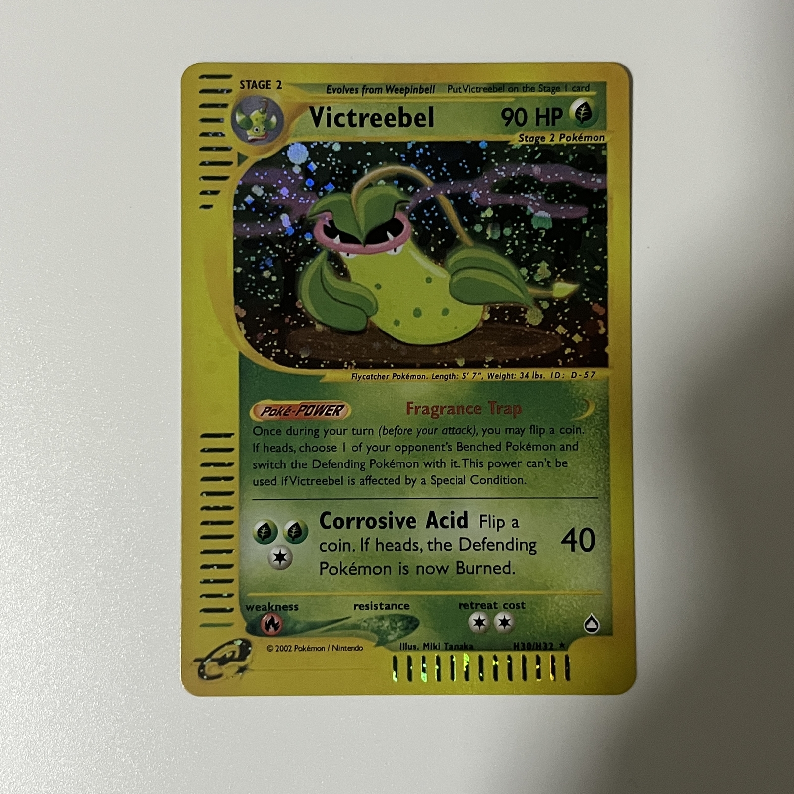 CUSTOM|Victreebel|Foil|English|DIY DisplayONLY e-Reader