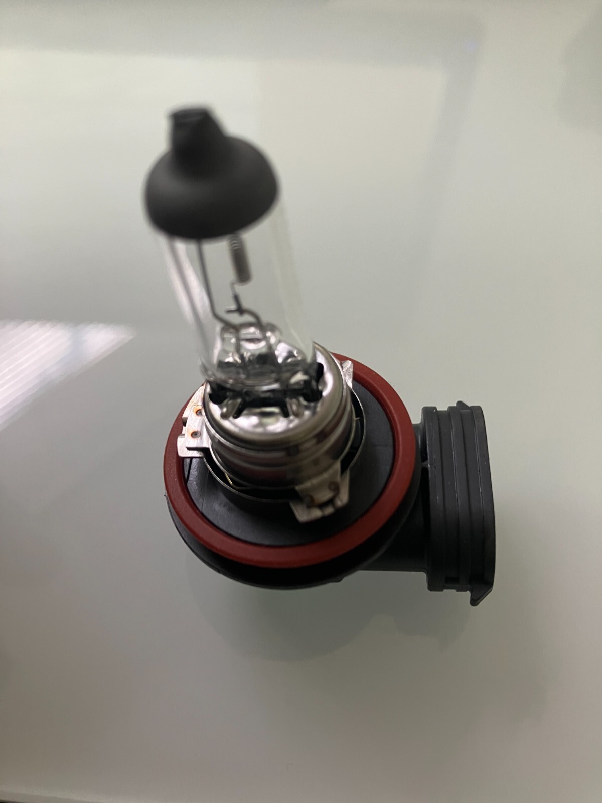 HELLA FOG Light Bulb 12v/55W Halogen Light Bulb eBay