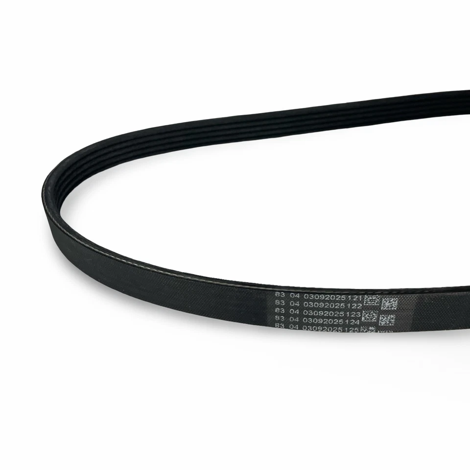 KIT DISTRIBUZIONE CON POMPA ACQUA + CINGHIA SERVIZI FIAT PANDA 500 PUNTO 1.2 1.4 - Imagen 3 de 4