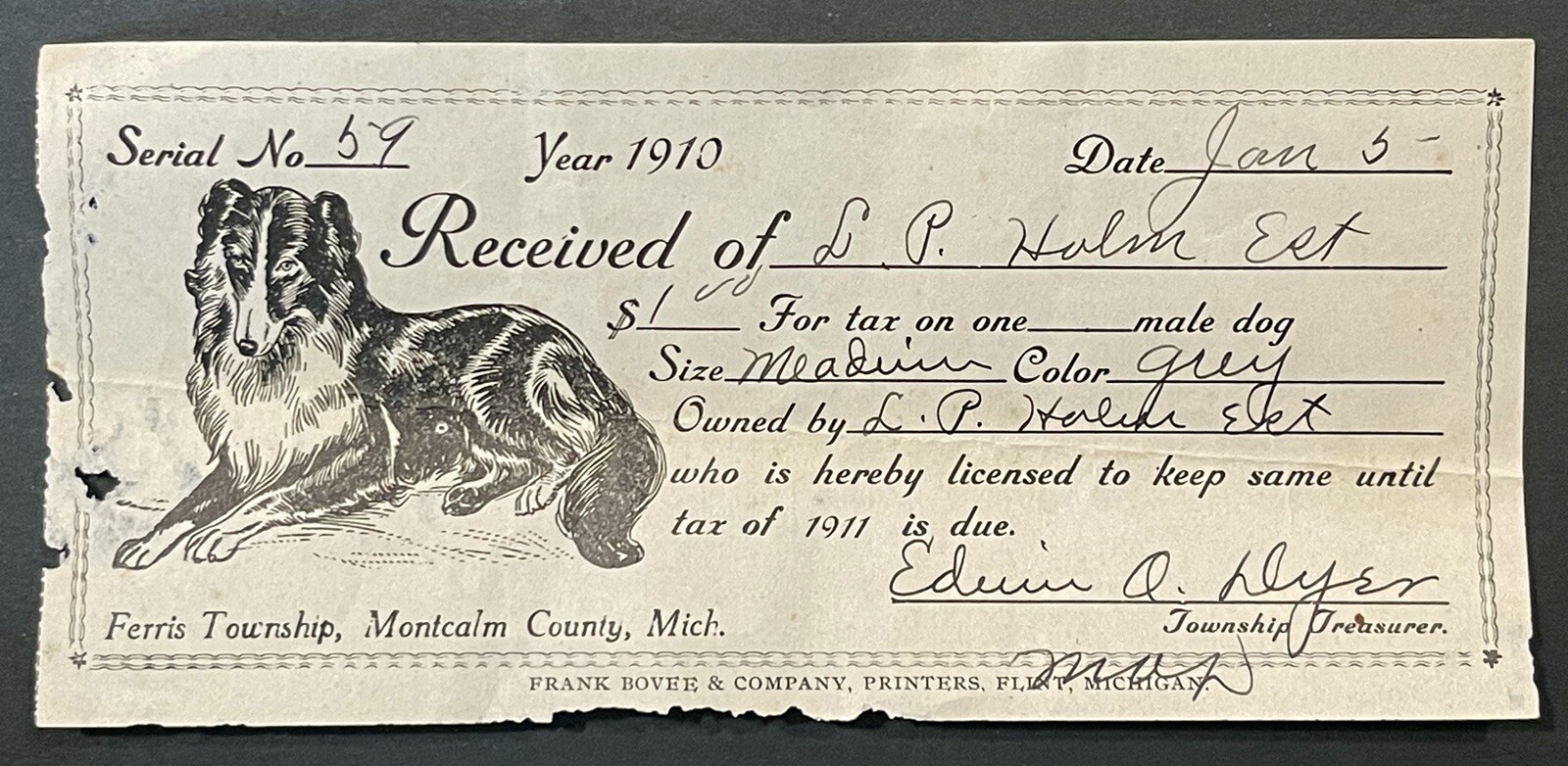 Antique 1910 Montcalm County, MI Dog Tax License Tag Receipt, Collie